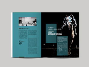 成都与创广告 为鸿讯电力定制高端精品画册与软件开发设计方案