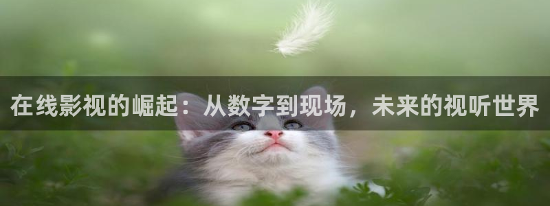 金牌影视官方入口在线观看