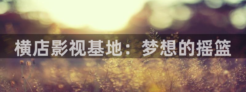小欢喜金牌影院