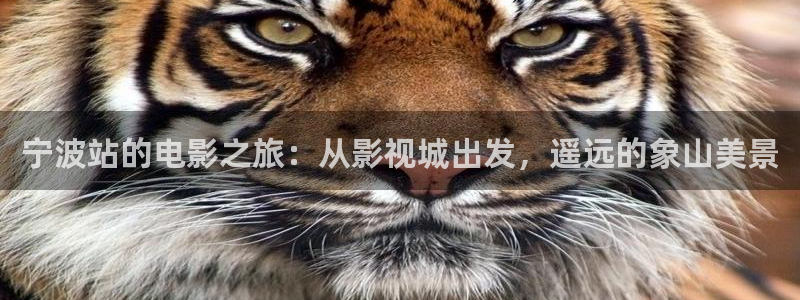 金牌影院剧入口