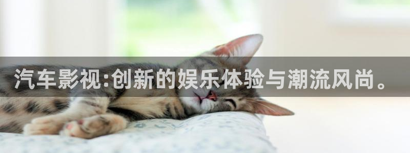 金牌影院在线观看：汽车影视:创新的娱乐体验与潮流风尚。