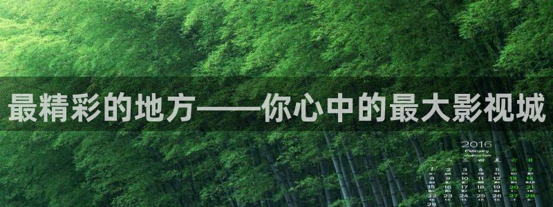 我是刑警金牌影院在线观看