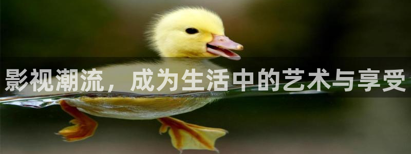 金牌影视在线观看免费高清全集：影视潮流，成为生活中的艺术与享受