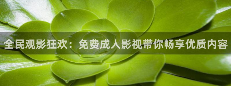 金牌销售韩国电影：全民观影狂欢：免费成人影视带你畅享优质内容