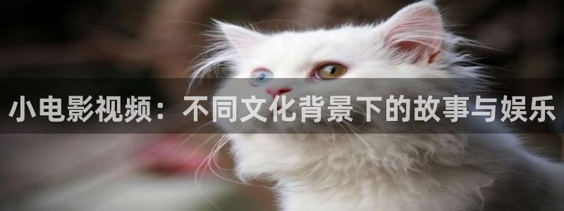 金牌影视官网首页：小电影视频：不同文化背景下的故事与娱乐