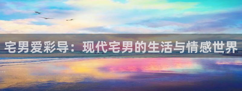 金牌 影院：宅男爱彩导：现代宅男的生活与情感世界